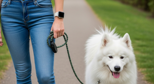 Person walking a white dog on a leash in a park. Modbands Apple Watch band on wrist.